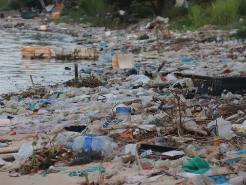Đà Nẵng: Rác thải phủ kín bờ sông, thời gian dài không được thu gom