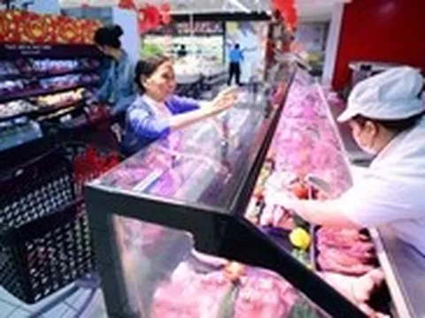 Cấp tốc ngăn dịch tả heo châu Phi