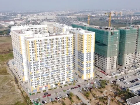 Công ty không xác nhận thu nhập để mua nhà ở xã hội, người lao động cần làm gì?