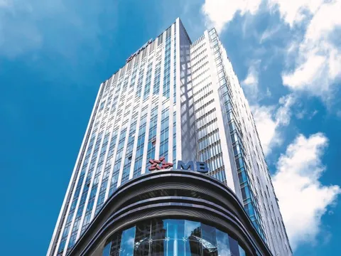 MB muốn bán 60 triệu cổ phiếu MBS, dự kiến thu về hơn 2.400 tỷ đồng