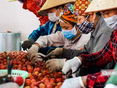 Bộ Tài chính: Giảm trừ gia cảnh không phân biệt thu nhập, nơi sống