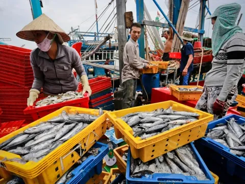 Bộ trưởng Công Thương gửi thư tới Mỹ trước lệnh cấm nhập khẩu hải sản Việt Nam