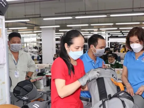 Sắp tổng điều tra kinh tế toàn quốc