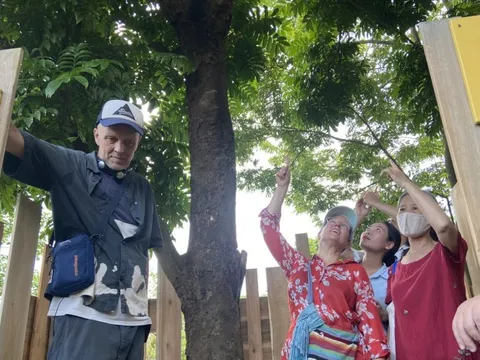 Lắng nghe tác phẩm nghệ thuật ‘giải mã’ tiếng chim hót