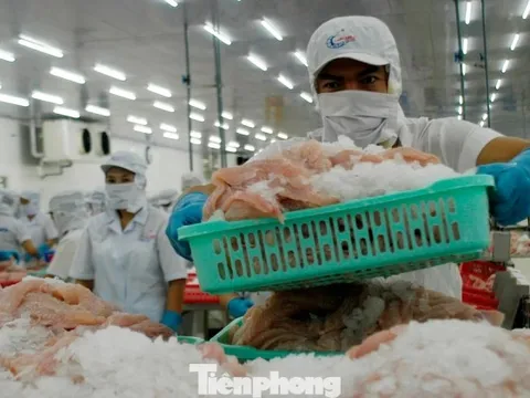 Thách thức thuế Mỹ là ‘phép thử’ quan trọng với doanh nghiệp