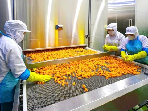 Nhà máy chế biến nông sản hơn 666 tỷ đồng vừa khánh thành tại Cần Thơ: Đưa nông sản Đồng bằng sông Cửu Long vươn ra thế giới