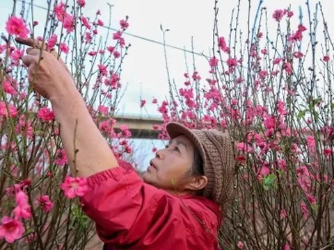 Đề xuất nghỉ Tết Nguyên đán 2026 kéo dài 9 ngày