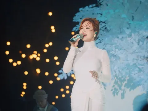 Nhiều hoạt động văn hóa, giải trí tạm hoãn vì bão Bualoi và Matmo