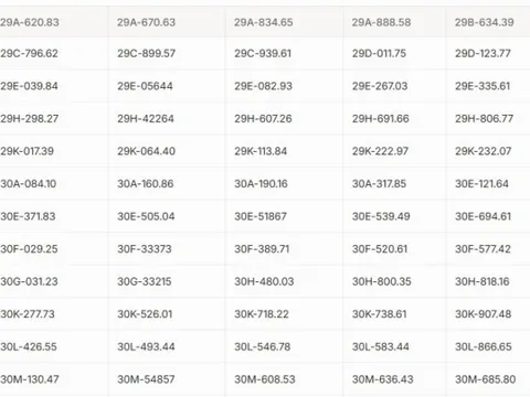 Hơn 200 chủ xe máy, ô tô Hà Nội có biển số sau nhanh chóng nộp phạt nguội theo Nghị định 168