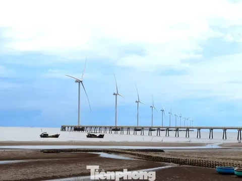 Điều gì đang cản trở thủ phủ điện gió?