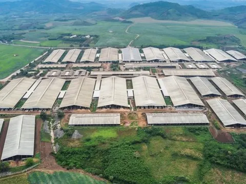 Trước Luật quy định xây trang trại cách nhà dân 200m, DN đã xây cách 270m, nhưng nay Luật tăng lên 400m, DN hỏi thì bộ ban ngành nói phải làm đúng Luật