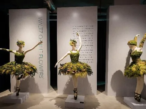 Không gian nghệ thuật Tinh Tuyển Phương Hoa: Mê hoặc và cảm xúc