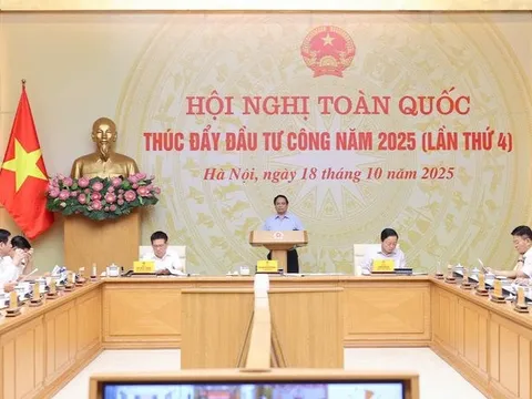 Tin vui từ Hà Tĩnh, Ninh Bình, Hải Phòng