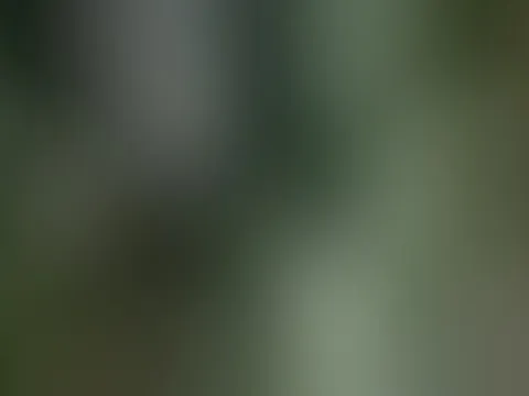 Tháo dỡ cầu sắt Long Kiểng sau nửa thế kỷ tồn tại