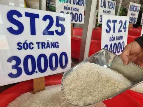 Giá gạo trong nước neo cao, HSBC nâng dự báo tăng trưởng GDP Việt Nam