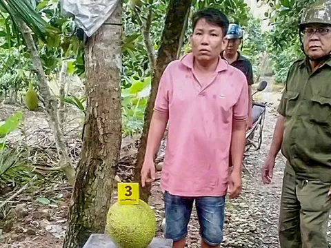 Vì sao trộm 2 trái mít lại bị khởi tố?