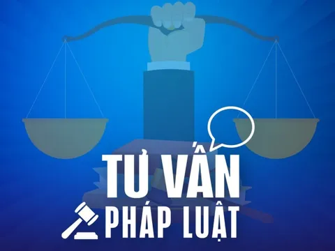 Xe máy để ngoài sòng đá gà, xử lý thế nào khi bị bắt?