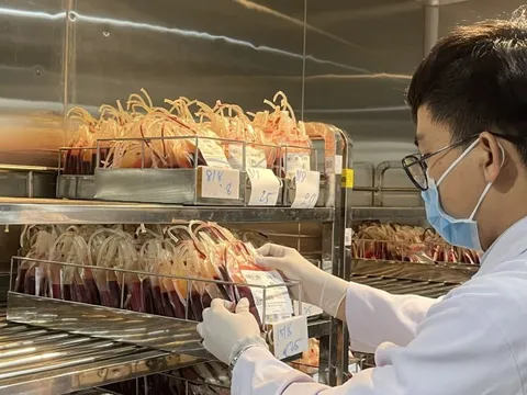 TP.HCM: Nguy cơ thiếu máu cứu người nghiêm trọng, nhu cầu tăng 20% sau sáp nhập