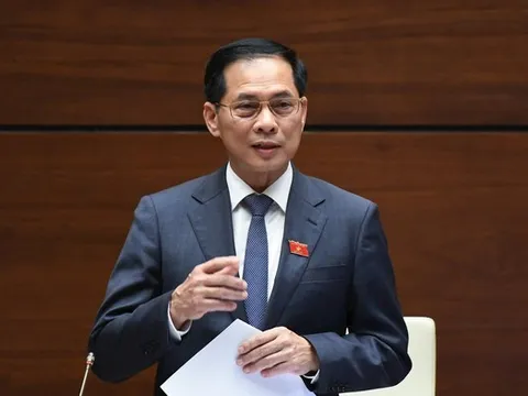 Tăng cường công cụ chống hàng giả, hàng nhái trên môi trường mạng