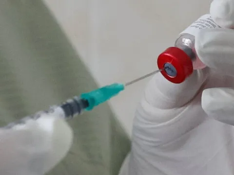 Vi rút bại liệt hoang dại tái xuất ở châu Âu sau 15 năm, WHO báo động