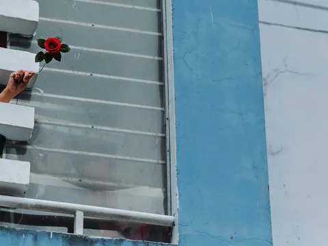 Nhiếp ảnh gia kể chuyện đồng lòng vượt qua đại dịch COVID-19