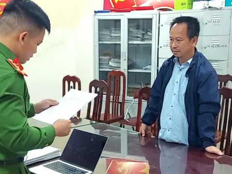 Biết lợn nhiễm dịch tả châu Phi nhưng vẫn bán cho nhiều đầu mối, chủ trang trại bị khởi tố