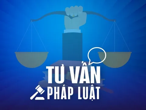 Phát hiện đất của mình bị người khác làm sổ đỏ và thế chấp, phải làm sao?