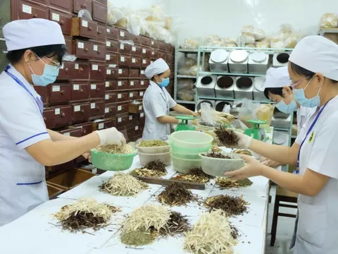 Đề xuất hướng dẫn hoạt động của y học cổ truyền trong cơ sở khám, chữa bệnh