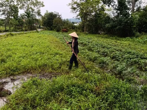 Chục năm làm sổ đỏ chưa xong
