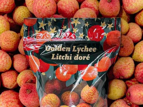 Vì sao trái vải vừa là thức ăn, vừa là loại thuốc của tự nhiên?