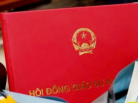 Hải Phòng hỗ trợ giáo sư đến 500 triệu đồng nếu cam kết làm việc cho thành phố