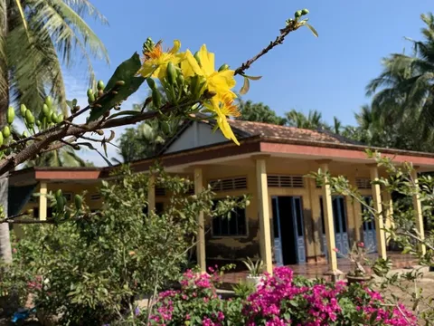 Ngôi nhà hình tổ chim câu