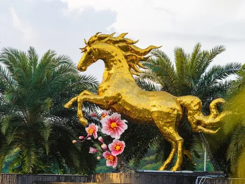 'Cha đẻ hoa hậu mèo Quảng Trị' làm linh vật ngựa ở sân bay Đà Nẵng