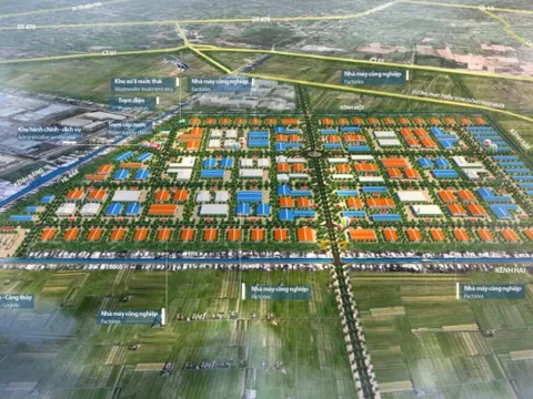 Khu công nghiệp Tân Phước 1 Đồng Tháp