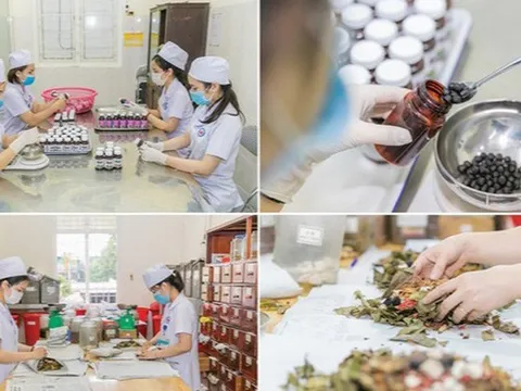 Quy định mới về chức năng, nhiệm vụ của Bệnh viện y học cổ truyền tỉnh