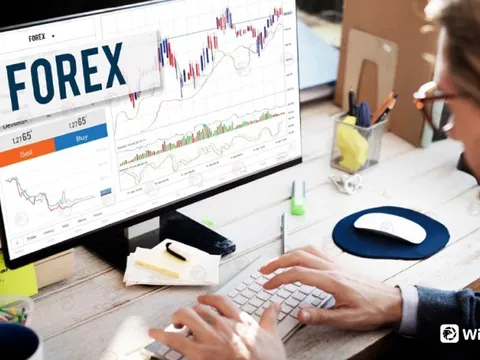 Những điều bạn cần biết về thị trường ngoại hối ở việt nam